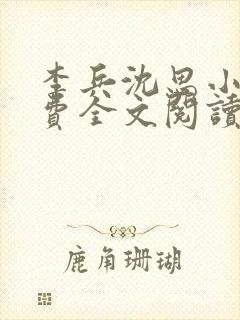 李兵沈思小说免费全文阅读