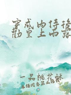 穿成内侍后总在劝皇上雨露均沾