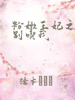 粉嫩王妃之殿下别吃我