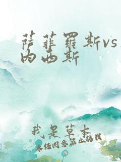 萨菲罗斯vs杰内西斯