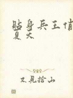 贴身兵王俏总裁夏天