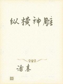 纵横神雕
