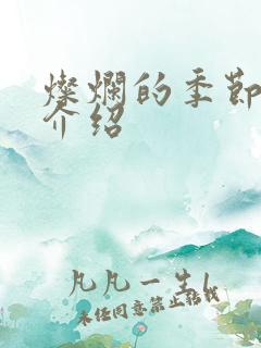 灿烂的季节剧情介绍