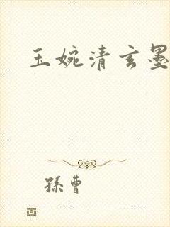 玉婉清玄墨小说