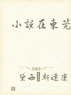 小说在东莞