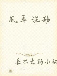 风弄 洗劫