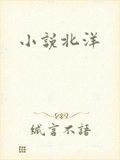 小说北洋