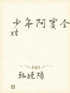 少年阿宾全集txt