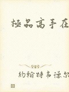 极品高手在异界