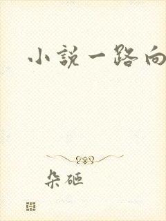 小说一路向西