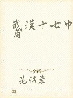 武汉十七中女主角