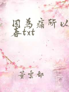 因为痛所以叫青春txt