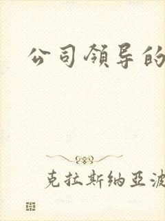 公司领导的老婆