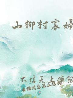 山柳村寡妇情史