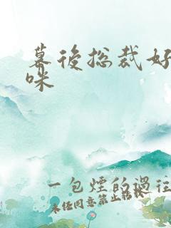 幕后总裁好孕妈咪