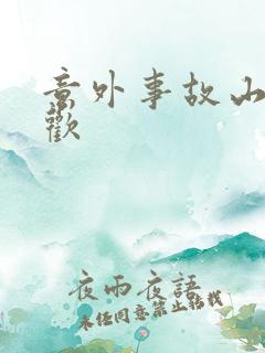 意外事故山月辞欢