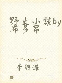 野火小说by夏布多昂