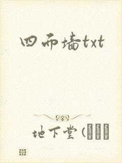 四面墙txt