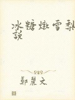 冰糖炖雪梨 小说