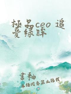 极品ceo 追爱绿眸