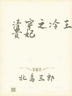 清穿之冷王的皇贵妃