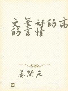 文笔好的高质量的言情