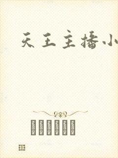 天王主播小说