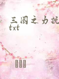三国之力挽狂澜txt