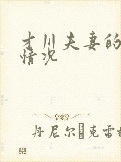 才川夫妻的恋爱情况