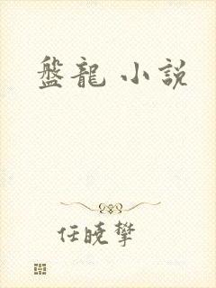 盘龙 小说