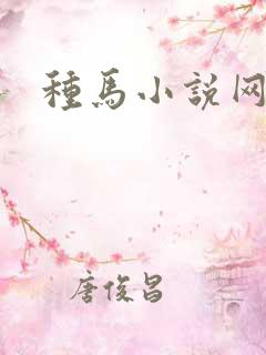 种马小说网