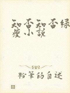 知否知否绿肥红瘦小说