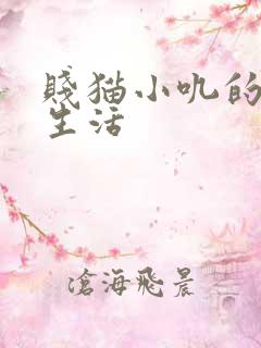 贱猫小叽的幸福生活