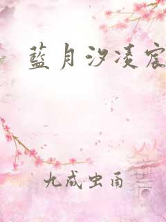 蓝月汐凌宸凌风