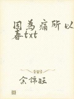因为痛所以叫青春txt