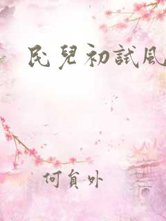 民儿初试风雨录