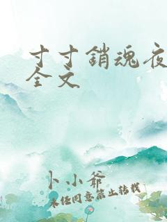 寸寸销魂夜春光全文