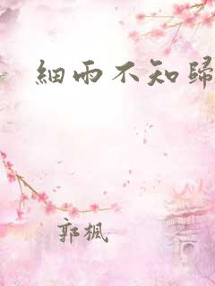 细雨不知归