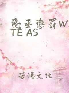 飞丞惩罚WRITE AS