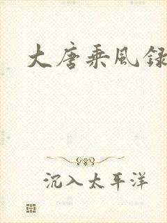 大唐乘风录
