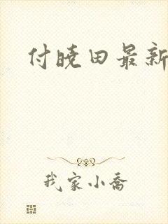 付晓田最新消息