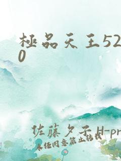 极品天王5200