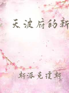 天波府的新姑爷