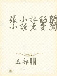 张小北的开光师小说免费阅读怎么没有276章