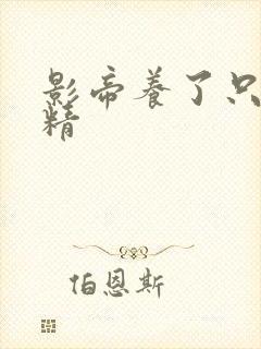 影帝养了只兰花精