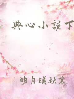 典心小说下载