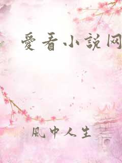 爱看小说网
