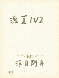 瑰夏1V2