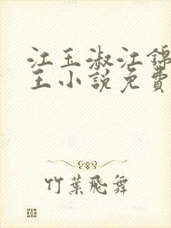 江玉淑江锦心睿王小说免费阅读