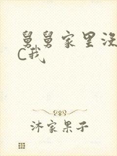 舅舅家里没人快C我